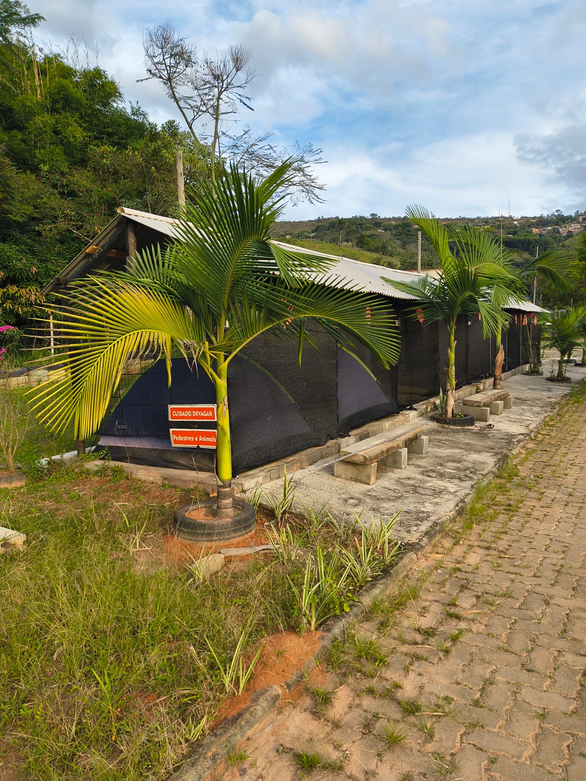 Área de camping